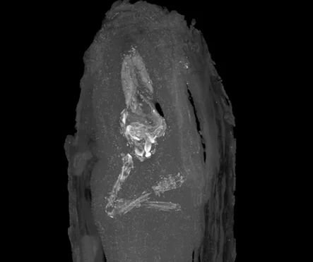 Source: The Guardian