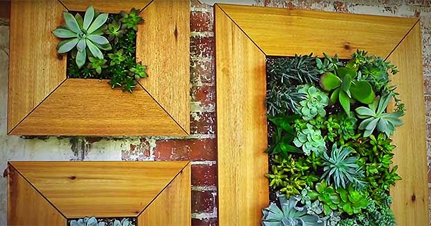Make Your Own Hanging Picture Frame Garden
