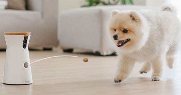 This Treat-Tossing Camera Is a Must-Have for Dog Owners