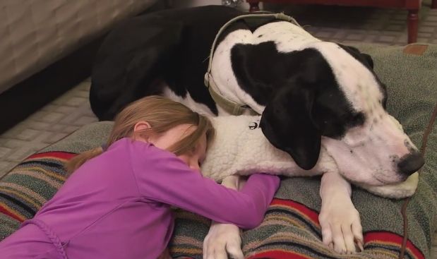 Source: Facebook/BarkPost