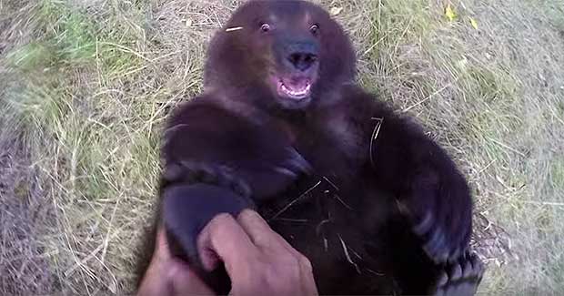 Man Forms Unlikely Bond With Orphaned Grizzly Bear Cubs