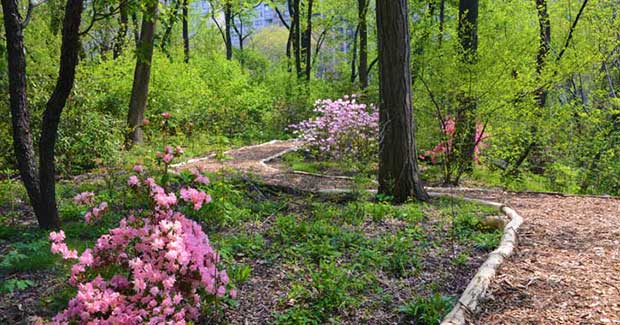 A Secret Section of New York’s Central Park Has Been Closed Since 1934… Until Now