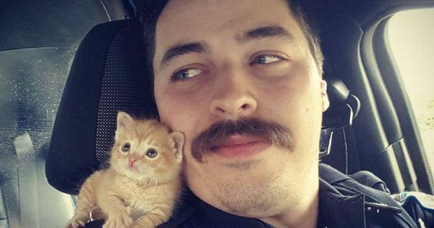 Mustached Cop and Kitten Become Purrfect Partners in Crime-Fighting