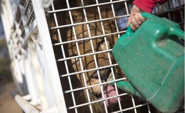 Source: Dan Kitwood / Getty Images