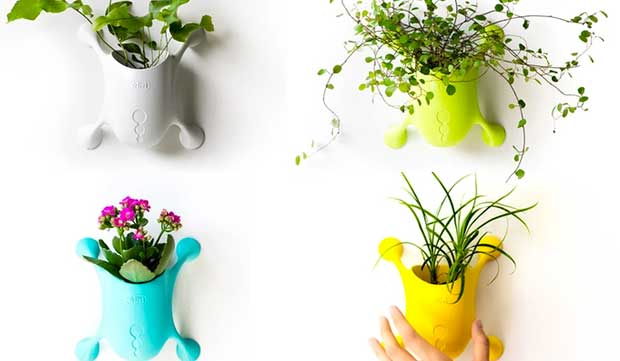 Source: Hooman Koliji