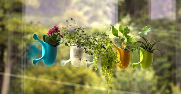 Meet Livi: The Device Revolutionizing the Typical House Plant
