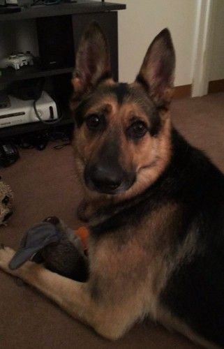 Source: Reddit/Electricsheepz