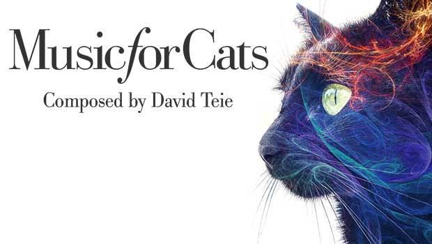 Composer Develops Scientifically-Backed Music That Will Get Your Cat Purring