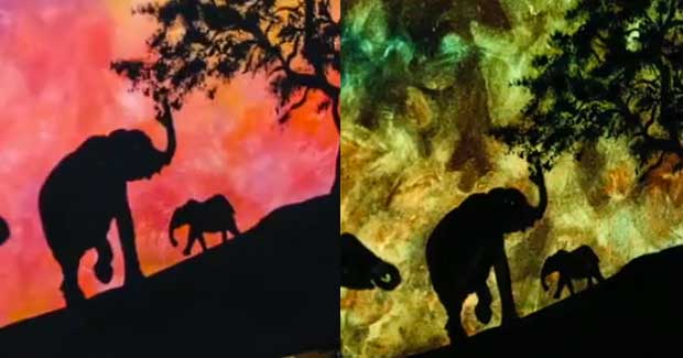 Source: Facebook/Crisco Art