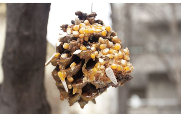 Source: spiritofomaha.com