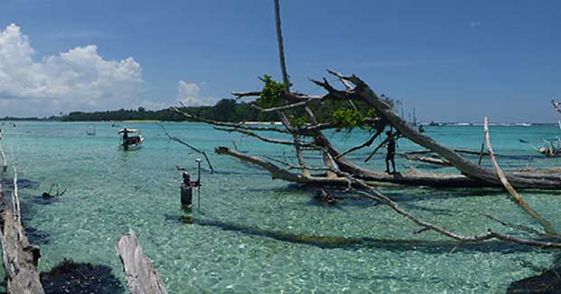 It’s Happening: Climate Change Has Submerged 5 Pacific Islands in Recent Decades