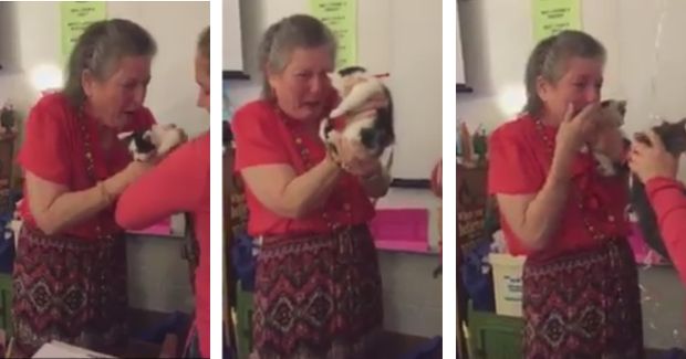 Students Surprise Teacher With Kittens After Her Cat Dies
