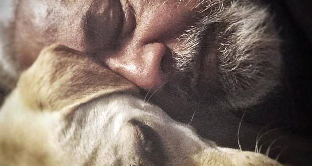 Lost Pup Is Reunited With Family Thanks to Social Media