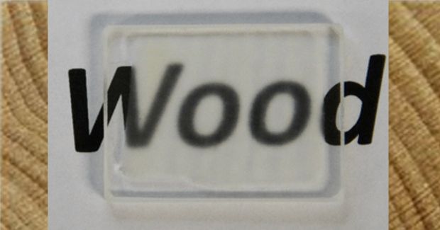 Scientists Create Transparent Wood, Could Revolutionize the Way We Build