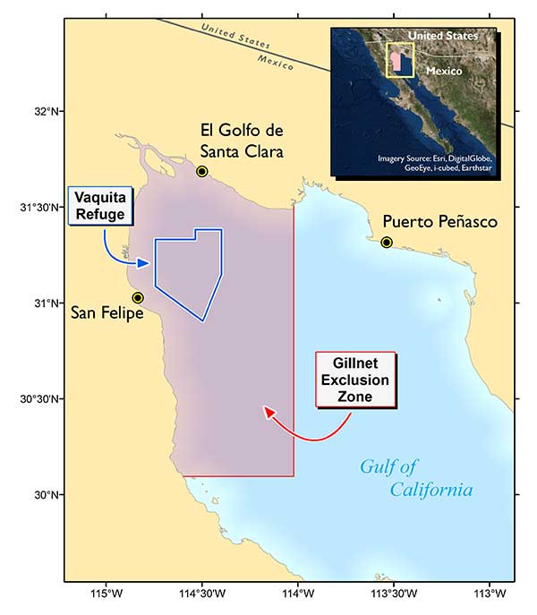 Source: IUCN-CSG.org