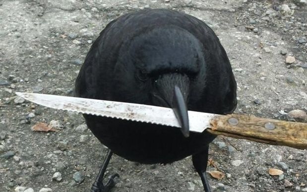 Source: Canuck And I