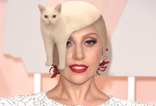 Source: REDDIT, INNERERSCHWEINEHUND