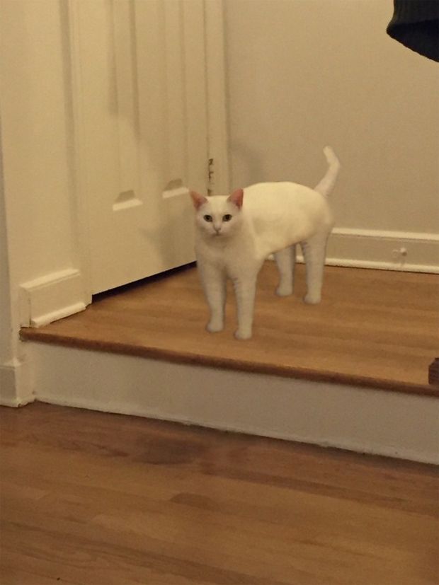 Source: REDDIT, DOCTORDOLLAZ