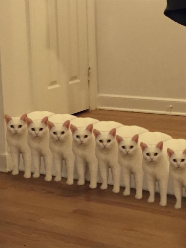 Source: REDDIT, THEBLAZINGPHOENIX