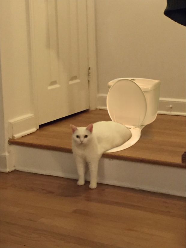 Source: REDDIT, REXLEOU