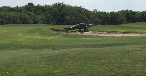 Source: Charles Helms/Golf.com