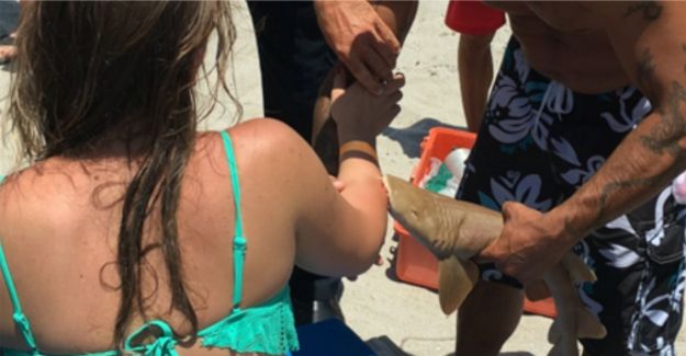 A Woman Was Taken to the Hospital With a Shark Still Attached to Her Arm