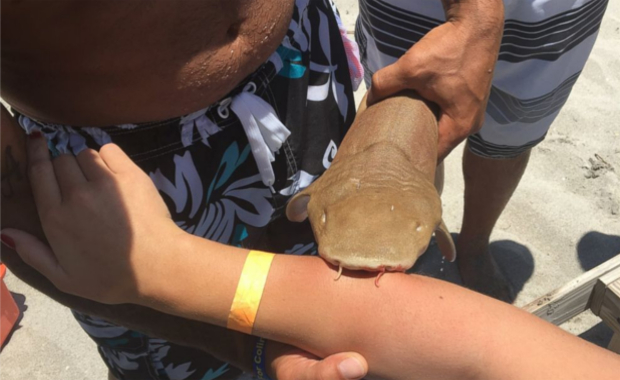 Source: Boca Raton Fire Rescue Services