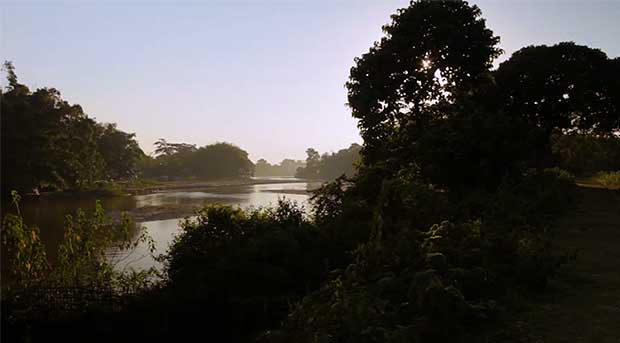 Source: Forest Man/National Geographic