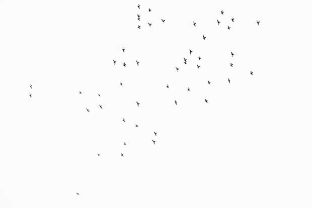 Source: Facebook/PaintingWithATwist