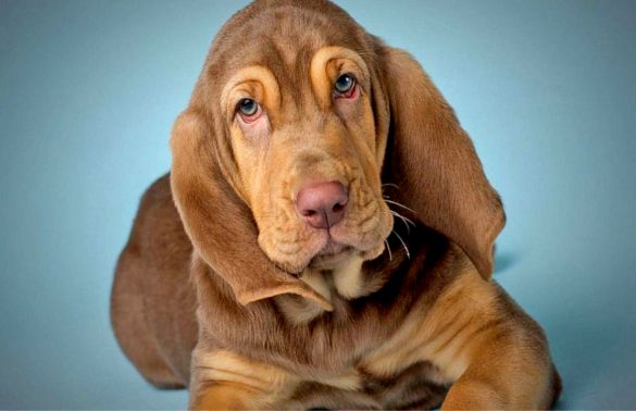 Source: abcnews.go.com