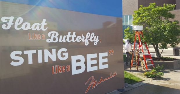 Over 15,000 Bees Swarmed a Mural at the Muhammad Ali Memorial Center