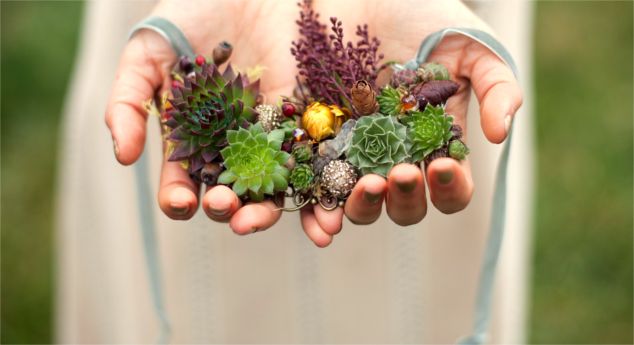 Living Jewelry Pieces That Grow On Your Body