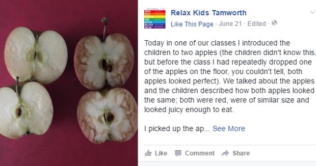Teacher Makes Important Point About Bullying Using Apples