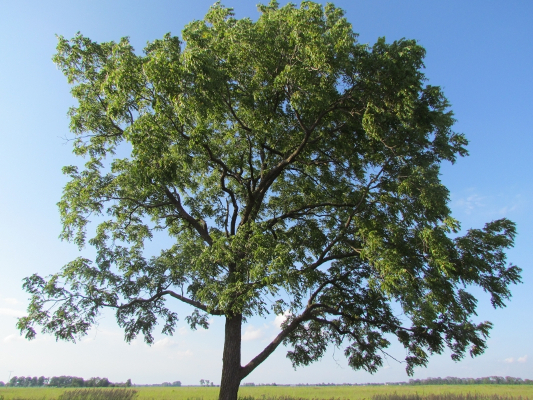 Source: Seasonsflow.wordpress.com