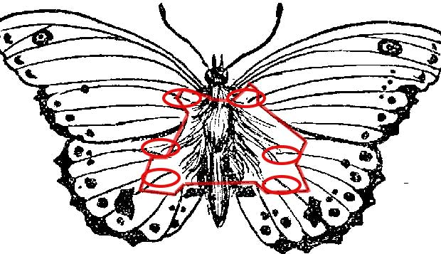 Source: Gutenberg.org/Public Domain