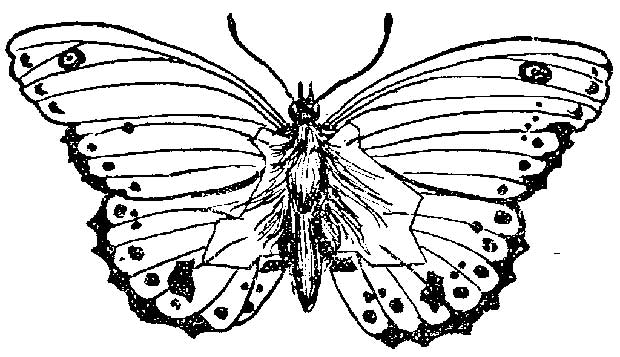 Source: Gutenberg.org/Public Domain