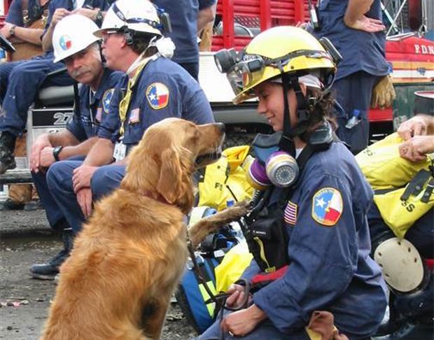 Source: Denise Corliss