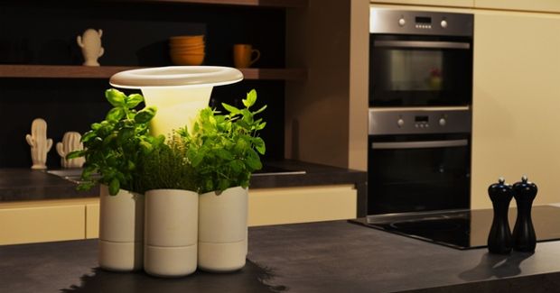 If You Have Trouble Keeping Your Plants Alive, This Is the Device You Need