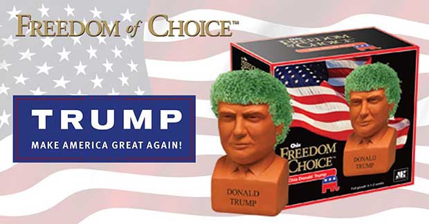 Watch Trump’s Hair Grow, or Elect Another Chia Candidate of Your Choice
