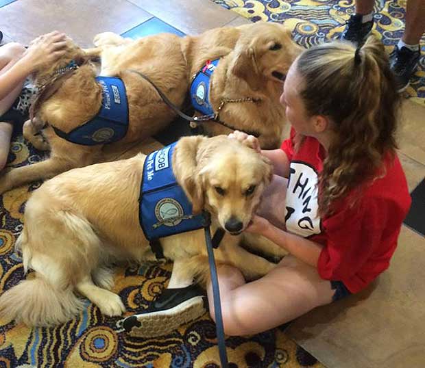 Source: Facebook/LCC K-9 Comfort Dogs