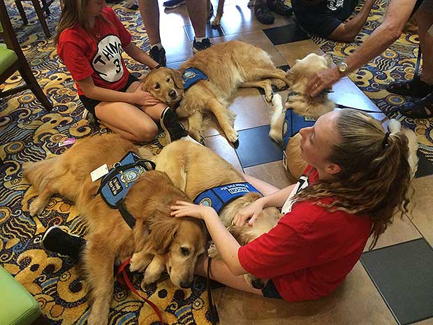 Source: Facebook/LCC K-9 Comfort Dogs