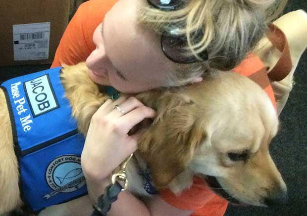 Source: Facebook/LCC K-9 Comfort Dogs