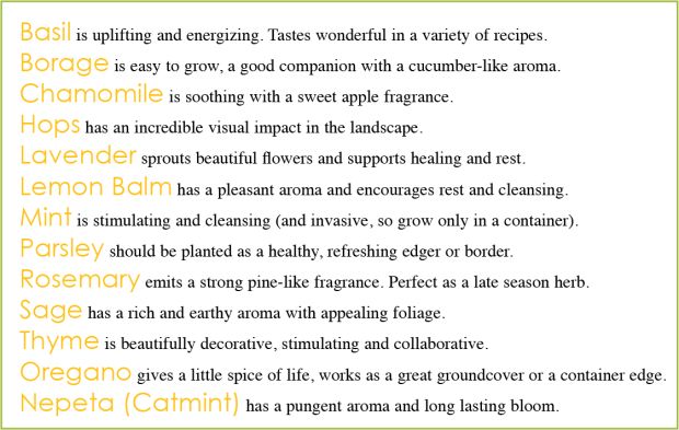 Source: Rick Vuyst/ womenslifestyle