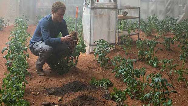 Scientists Grow Vegetables in Martian Soil