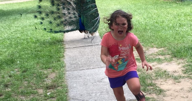 Source: Reddit/ bwaxse