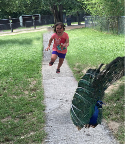 Source: Reddit/jmprog