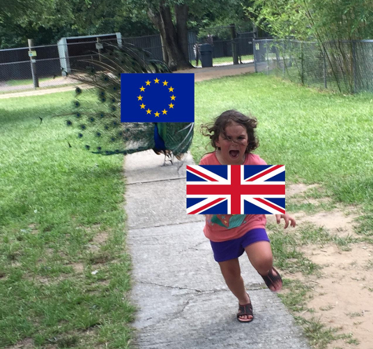 Source: Reddit/itriedtobenice