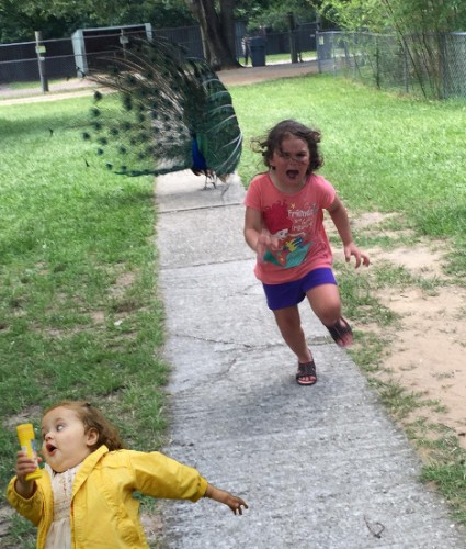 Source: Reddit/Derpysk