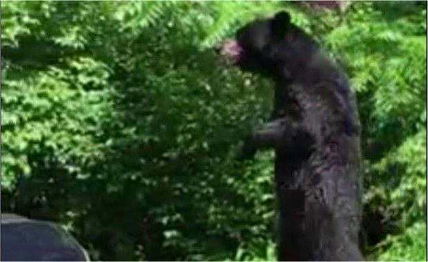 Source: Joey Esposito