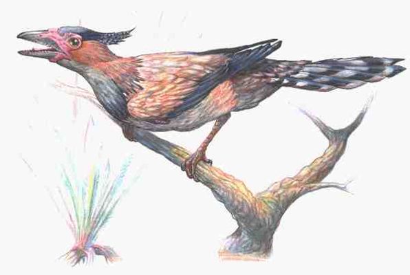 Source: Sites.google.com